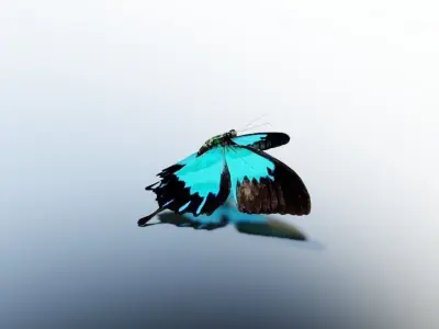 Animated Butterfly Low-poly 3D model