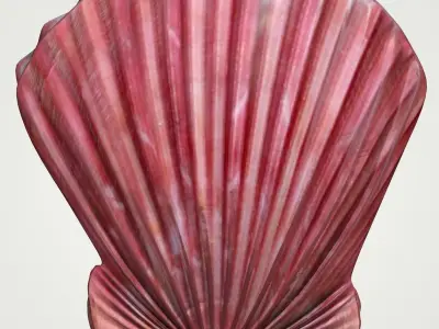 Sea Shell Scallop Pecten shell 4K 3D model