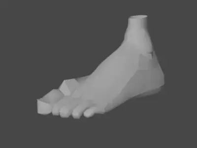 LEFT FOOT Low-poly 3D model