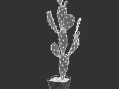  Watered Prickly Pear Cactus Potted Plant Model 