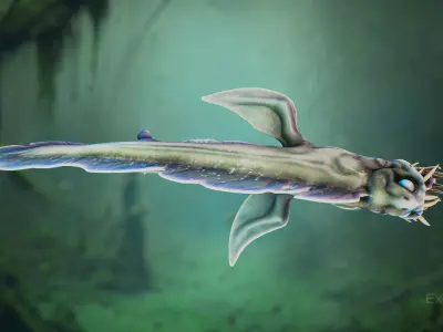 Fantasy Fish 08 - Aqua Life - Water Underwater Creature - 49 Low-poly 3D model