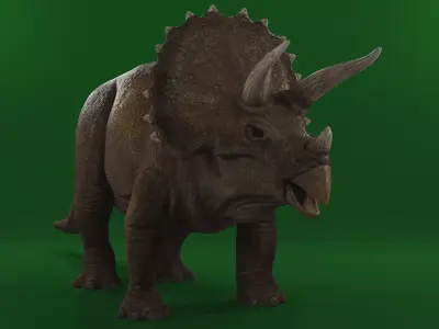 Triceratops 3D model 3D model