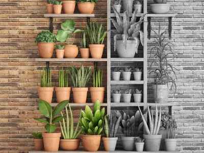 collection of plants in clay pots PART 1 3D model