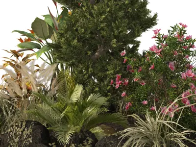 Garden Plant set Low-poly 3D model