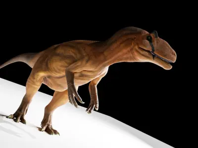 Allosaurus fragilis Low-poly 3D model