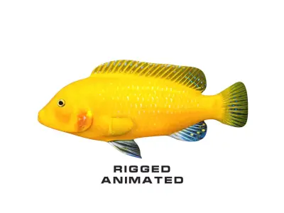 Low-Poly Cichlid Yellow Animated Low-poly 3D model