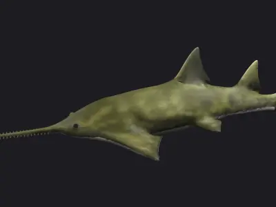 fish shark sawfish animal aquatic extinct ocean 3D model