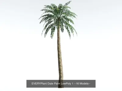 EVERYPlant Date Palm Bundle LowPoly --64 Models-- 3D Model Collection