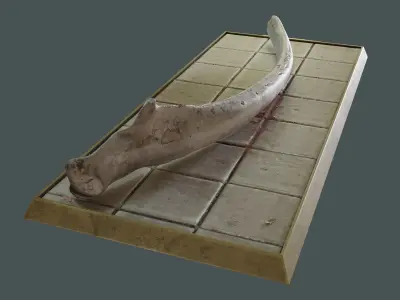 Whale mandible and PBR materials Free low-poly 3D model
