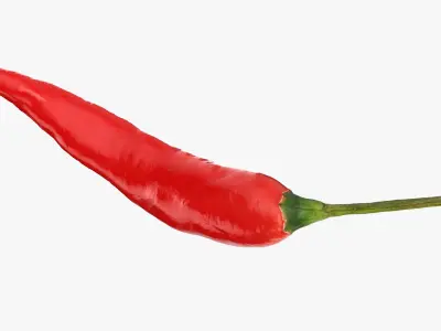 Red Hot Chili Pepper 3D model