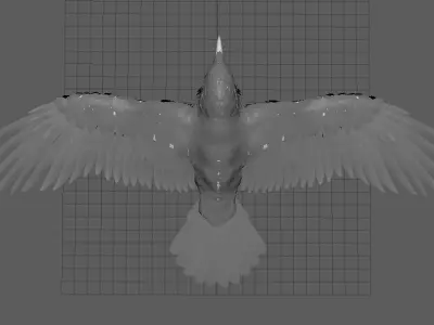Raven Black Crow Rigged Low-poly 3D model