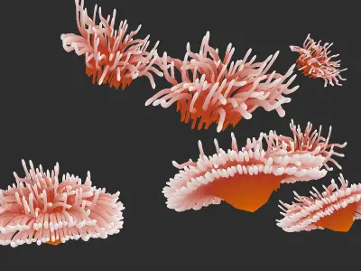 coral collection grapes 3D model