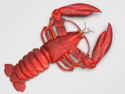 Lobster 3D model