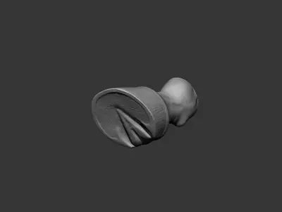 Horse Hoof Highpoly Sculpt 3D model