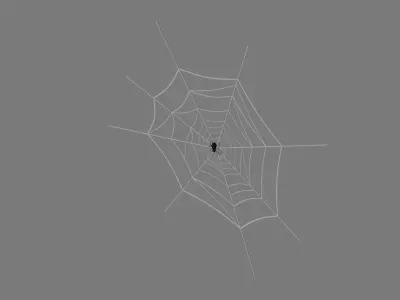 Web And Spider 3D model
