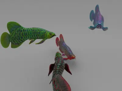 Dragon  Fish 3D model