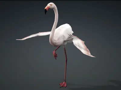 FLAMINGO RIGGED ANIMATED 5 Low-poly 3D model