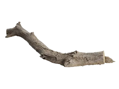  Medium Gnarly Splintered Log Model 