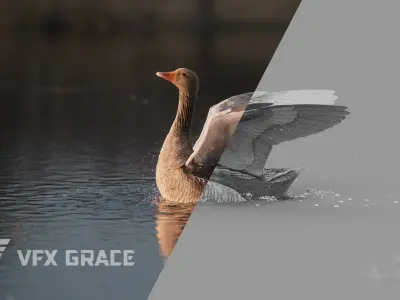 Goose Animation VFX Grace 3D model