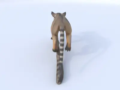 Banded Linsang 3D model