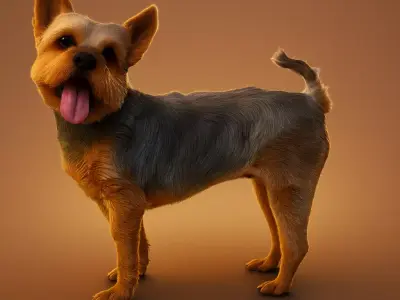 Yorkshire Terrier 3D Model Realistic Dog FBX y OBJ 3D model