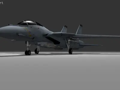 F14 TOMCAT Low-poly 3D model