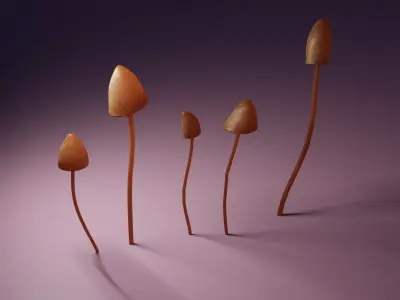 Shrooms group of sprouts Free 3D model