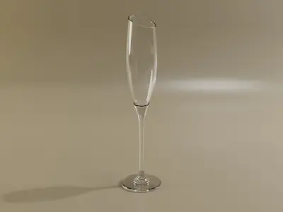 Champagne glass set 3D model