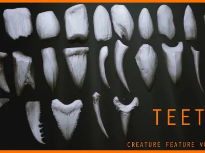 TEETH - Zbrush 24 Assorted Teeth IMM Brush plus OBJs 3D model