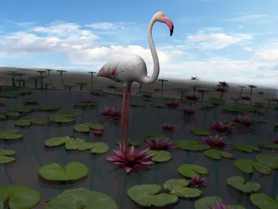 Flamingo Low-poly 3D model