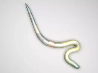 Green Worm 3D model