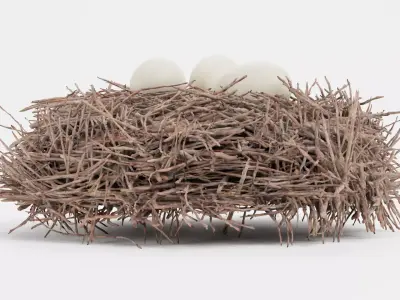 -Stork Nest with Eggs- 3D model