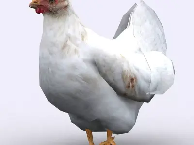 3DRT - Chicken Low-poly 3D model