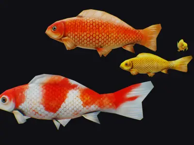 Carp Koi Flock Realistic Fish River Animal Animated Lowpoly Low-poly 3D model