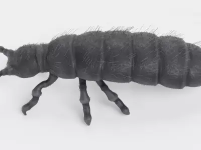 -Snow Flea- 3D model