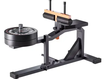 Seated Calf Machine Plate Loaded 3D model