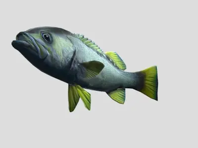 Rockfish Realistic Animated Low-poly 3D model