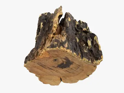 Tree Trunk Piece 14 3D model