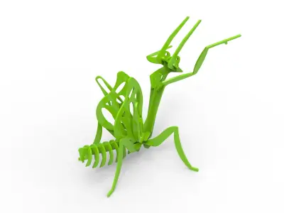 Pray Mantis 3D print model
