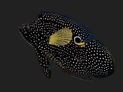 Plesiops Low-poly 3D model