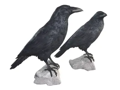 Raven Collection pair of crow statues 3D model