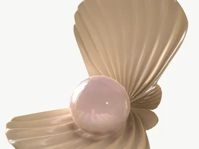 Pearl in Shell 4K 3D model