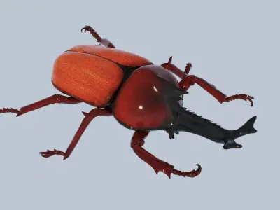 Vibrant beetle Low-poly 3D model