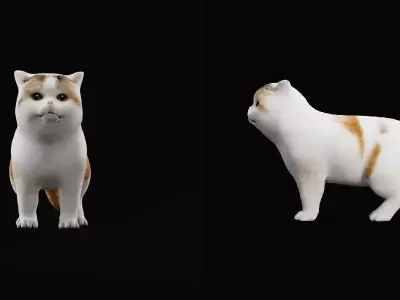 Exotic ShortHair Cat Free 3D model
