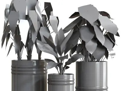 Red Aglaonema 02 3D model