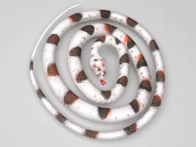 Rubber Snake 3D model
