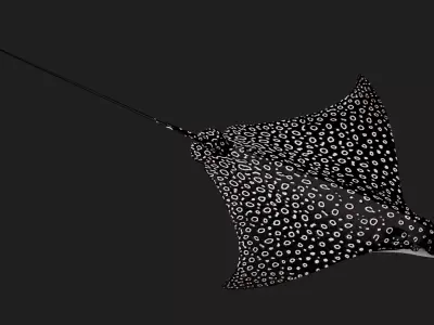 Devilfish Low-poly 3D model