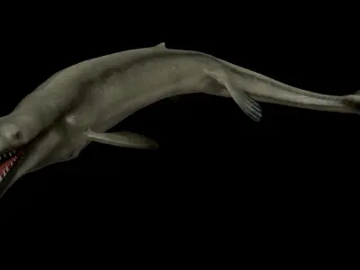 Basilosaurus Asset Pack Low-poly 3D model