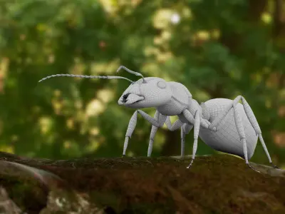 Realistic ant 3D Model Low-poly 3D model