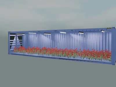 ROSE CONTAINERS WITH ENVIRONEMENT 3D model